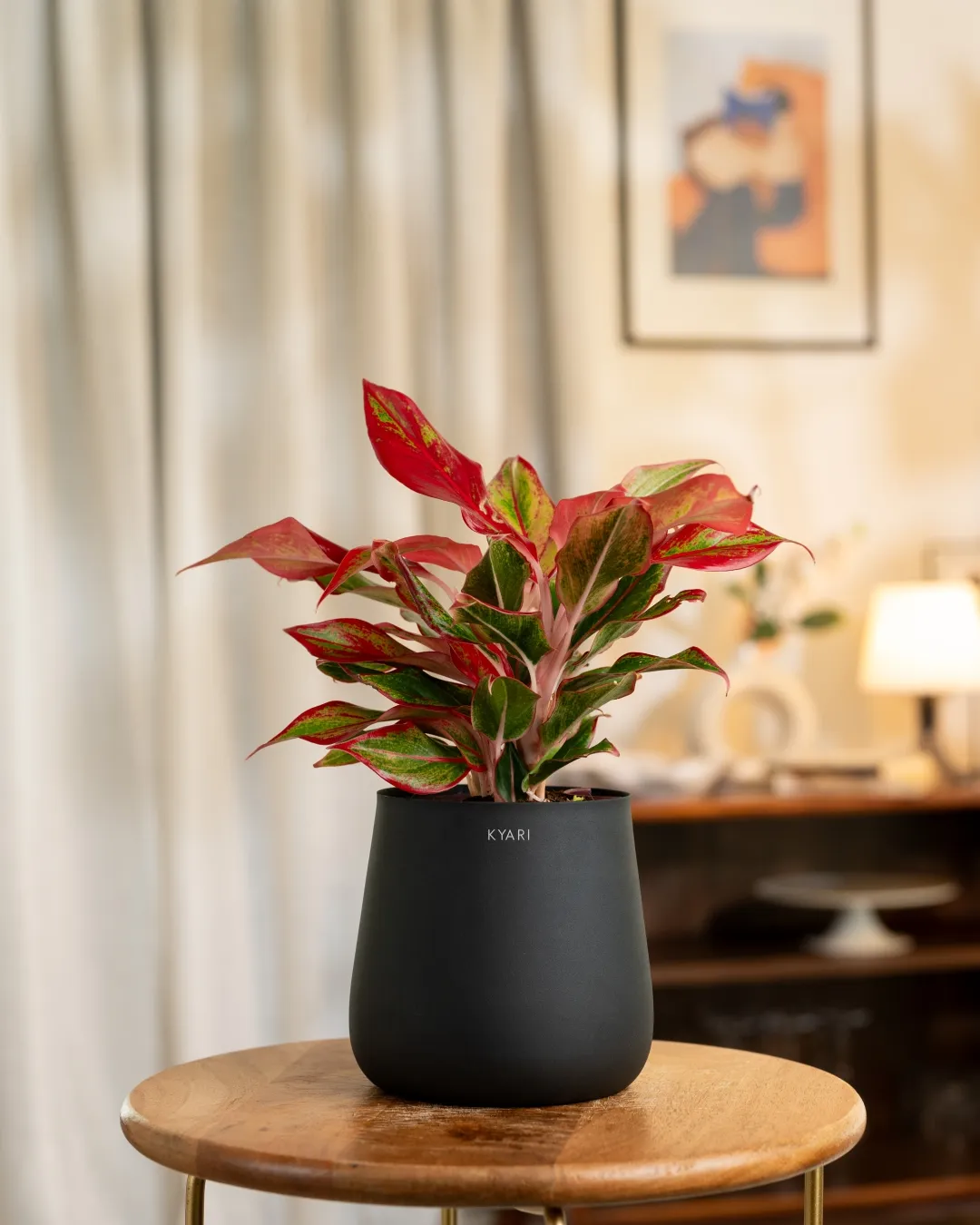 Product image 48