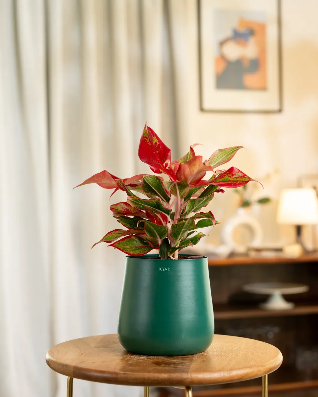Product image 52