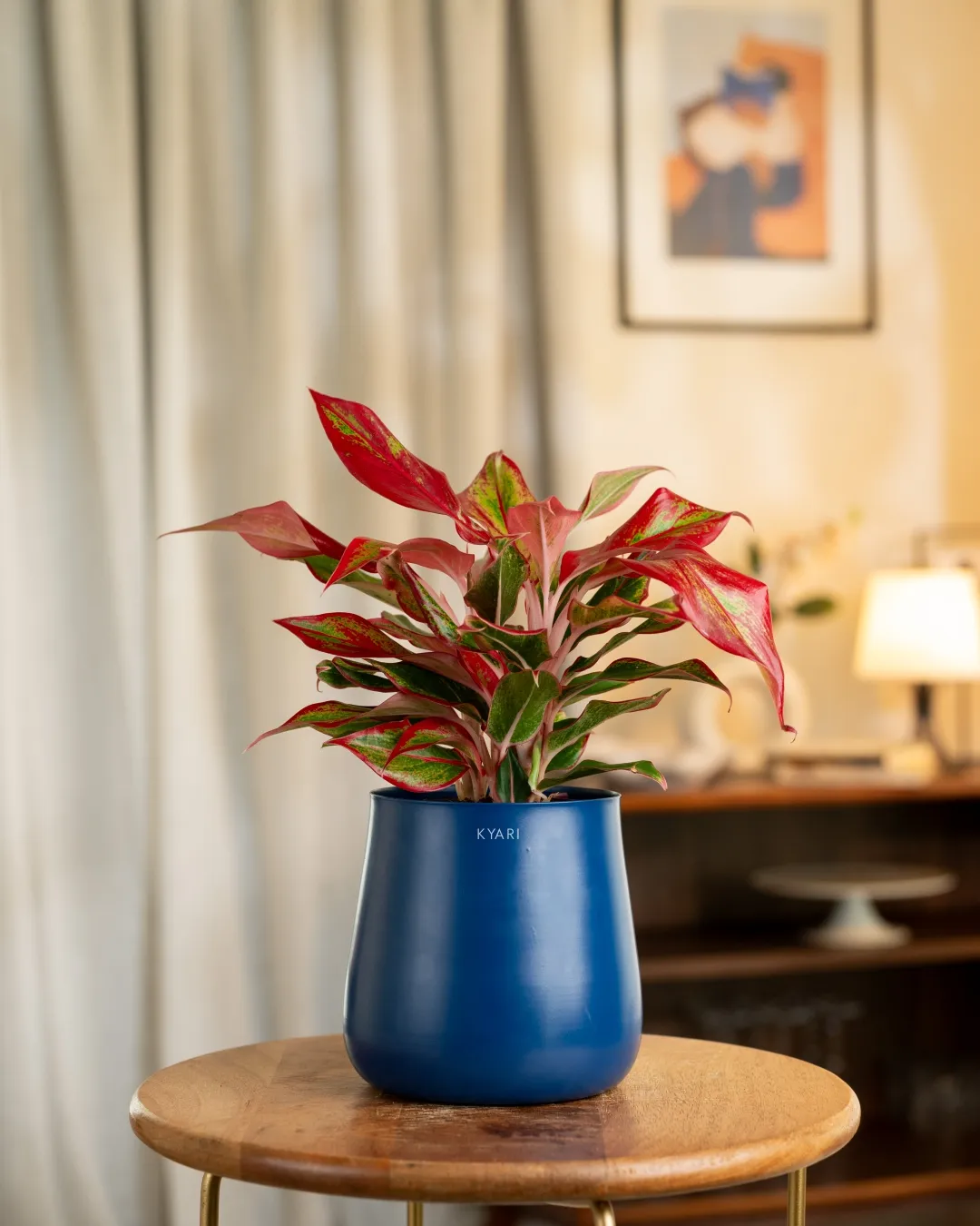 Product image 57