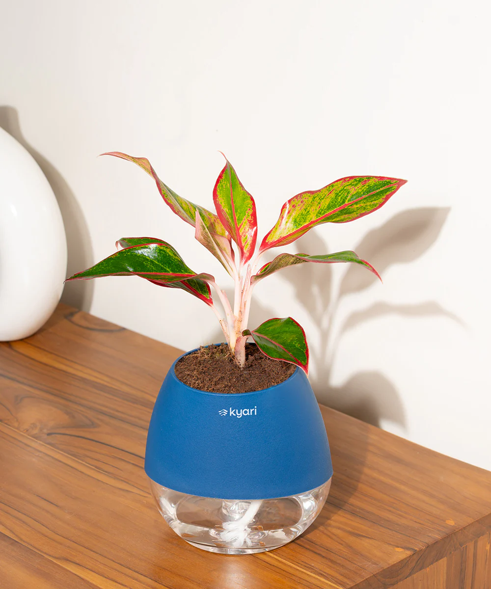 Product image 78