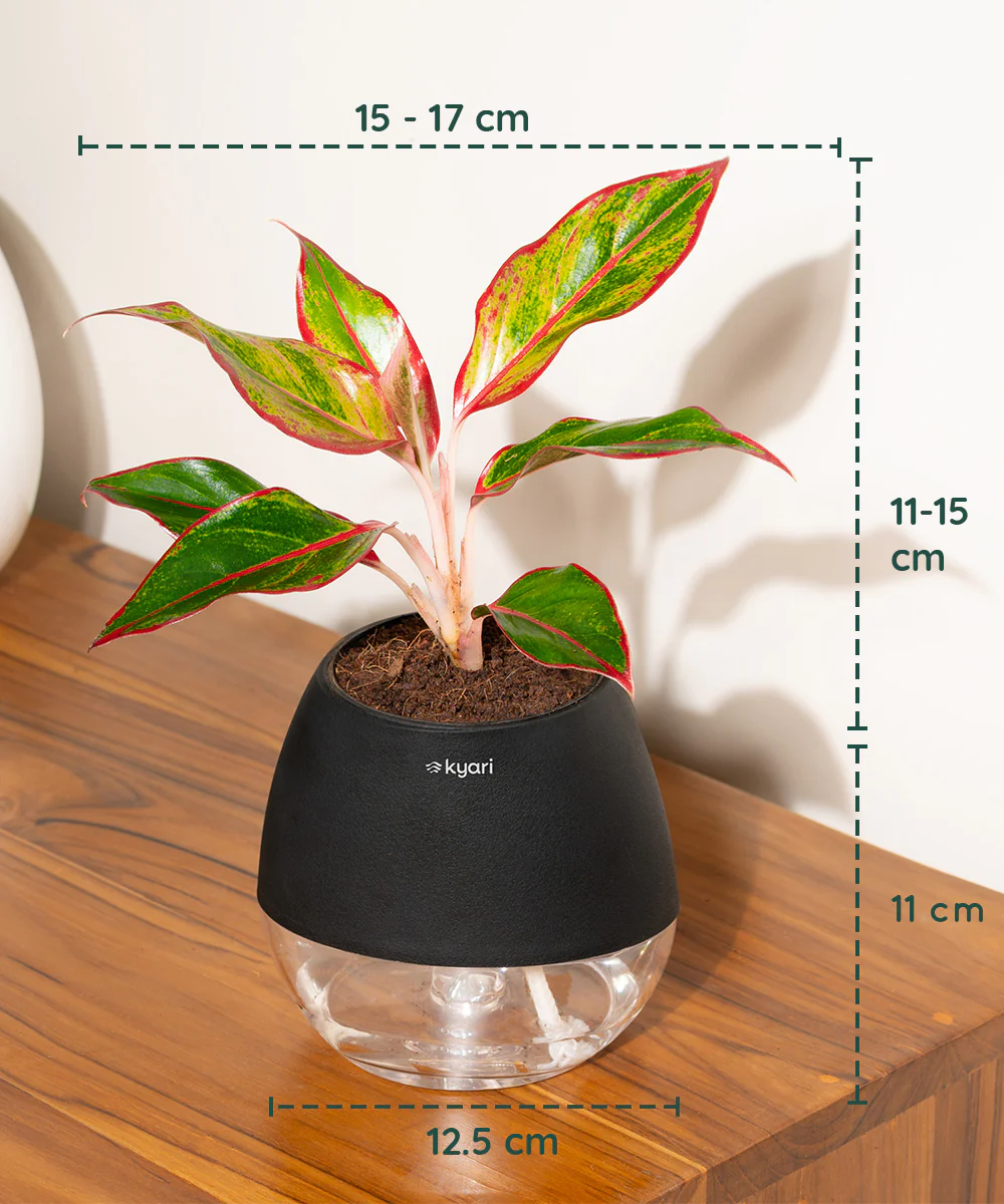 Product image 89