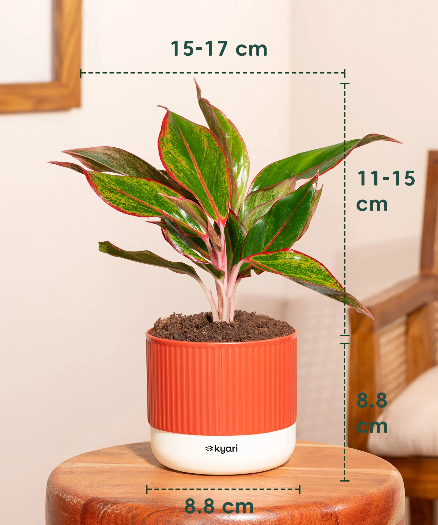 Product image 43