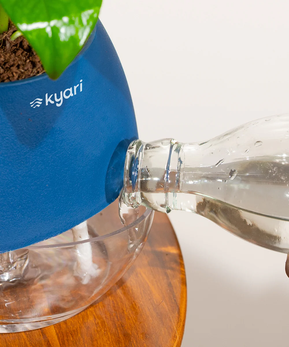 Product image 101