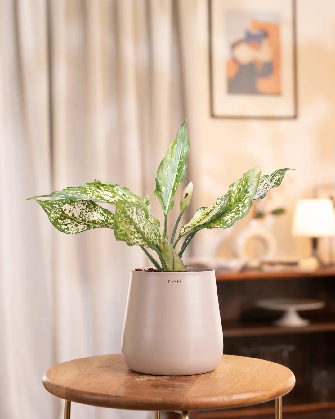 Product image 49