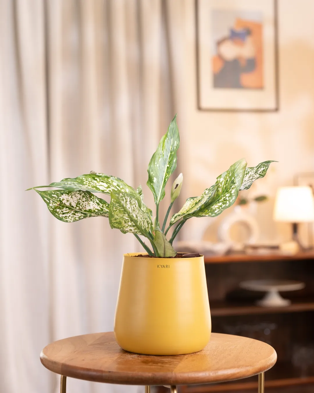Product image 61