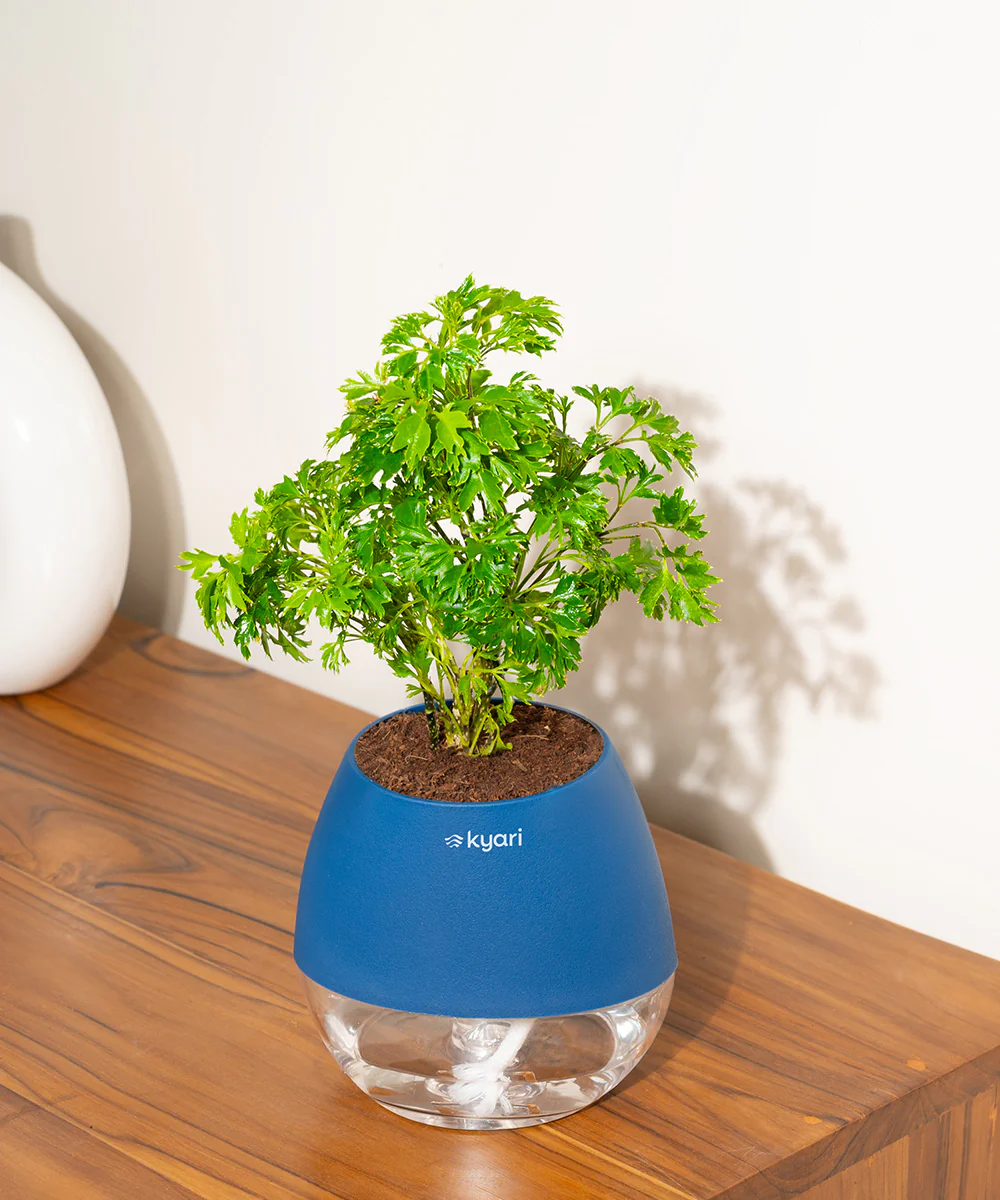 Product image 100