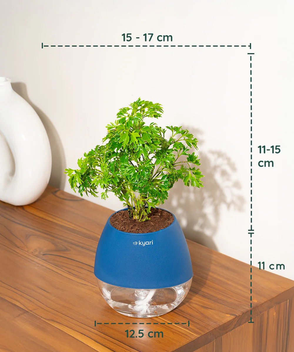 Product image 103