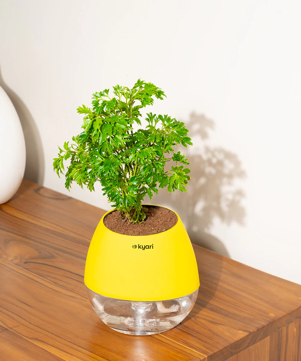 Product image 84