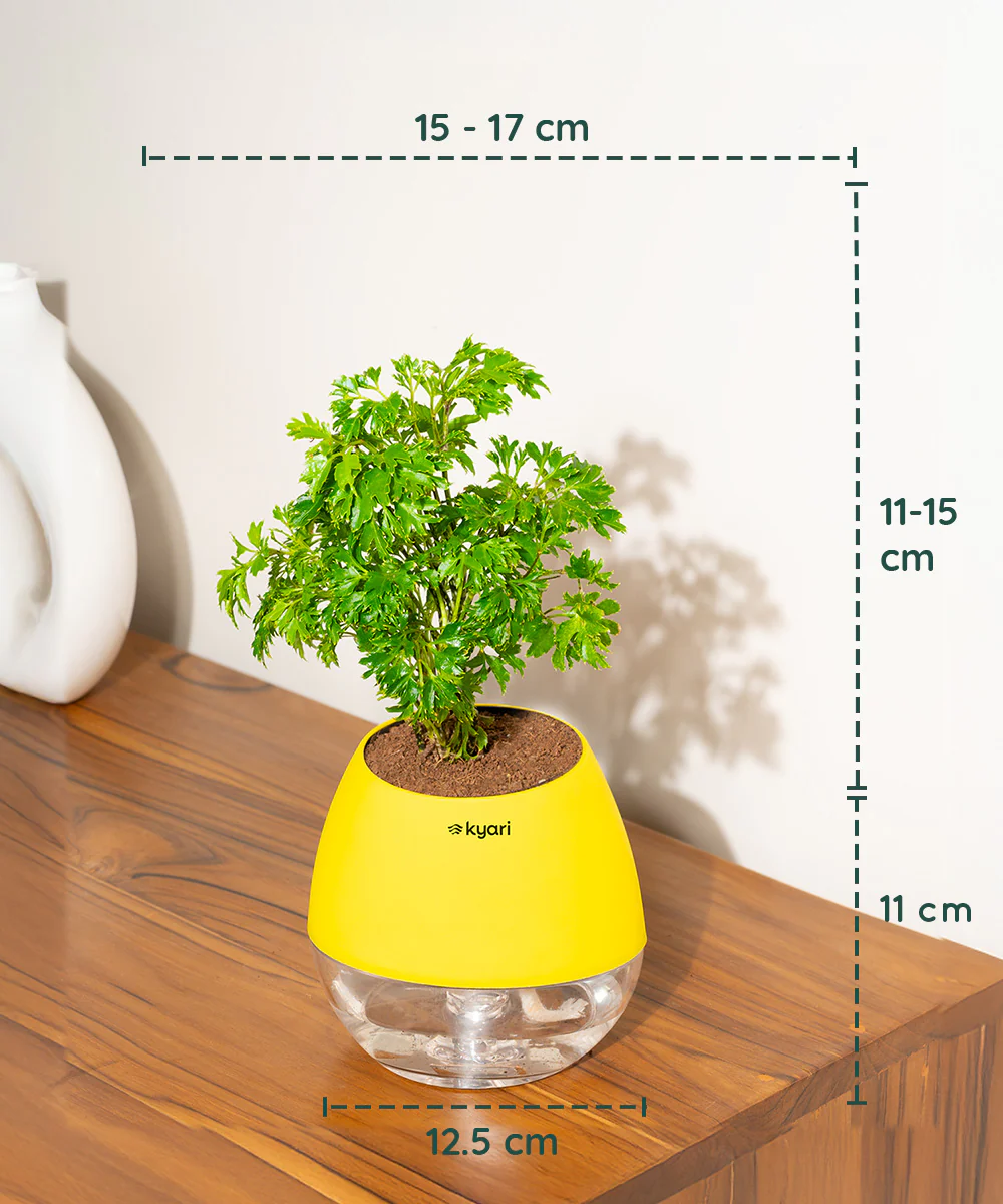 Product image 87