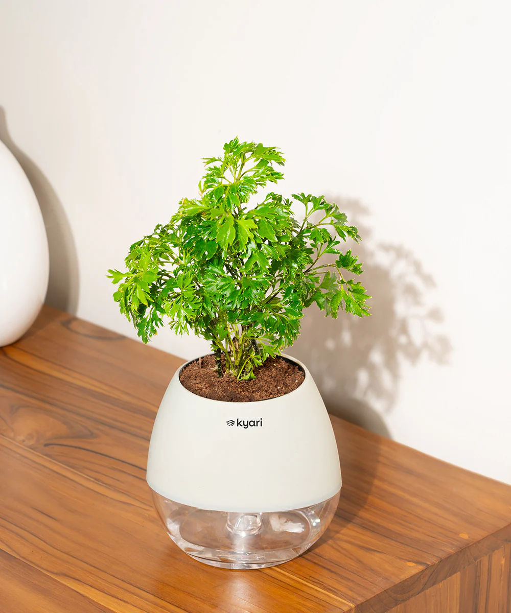 Product image 92
