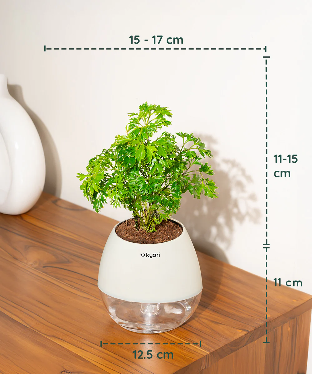 Product image 95