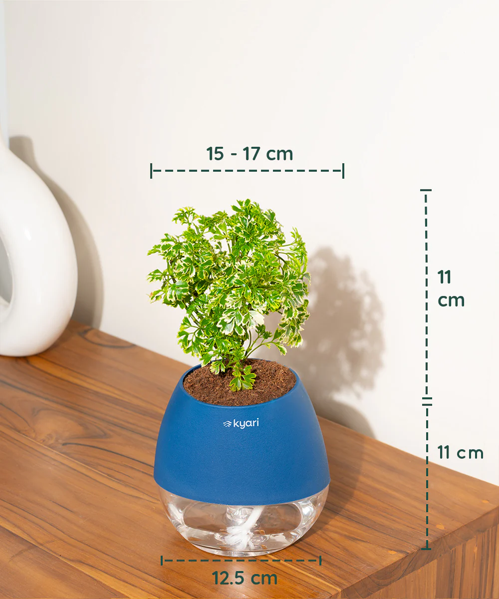 Product image 70