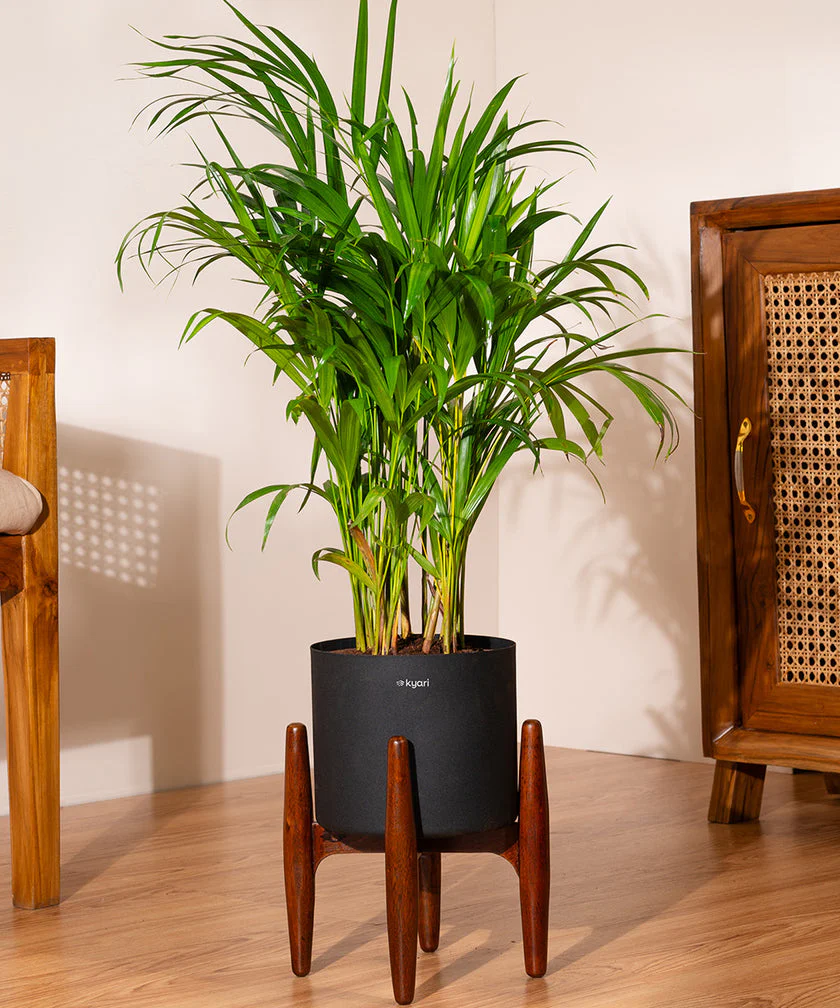 Product image 81
