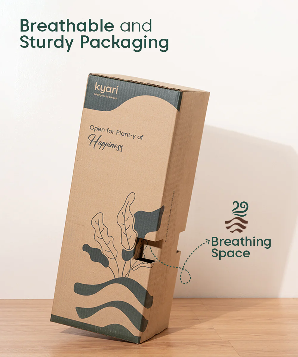Product image 101