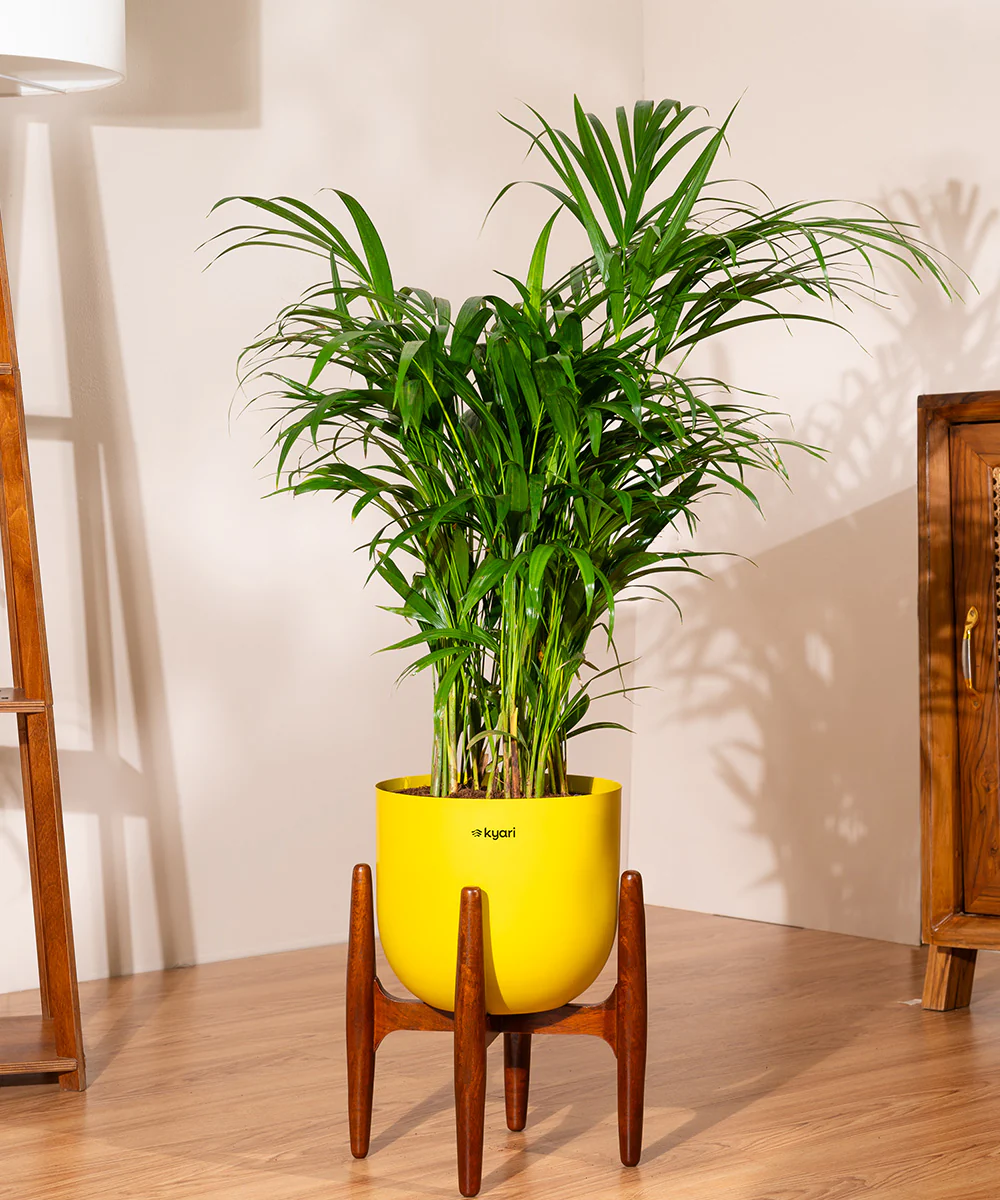 Product image 103