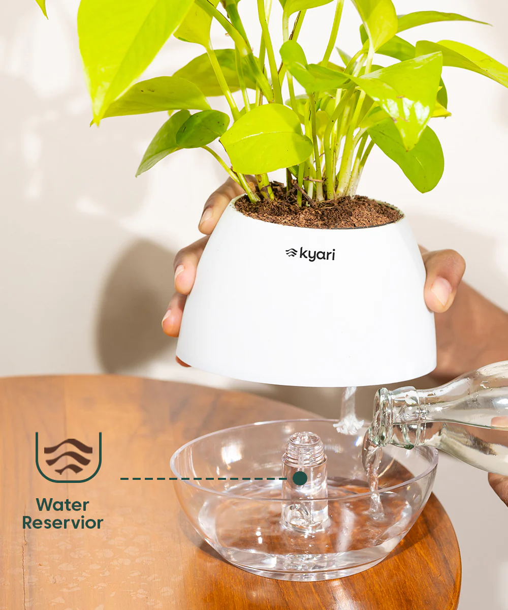 Product image 111