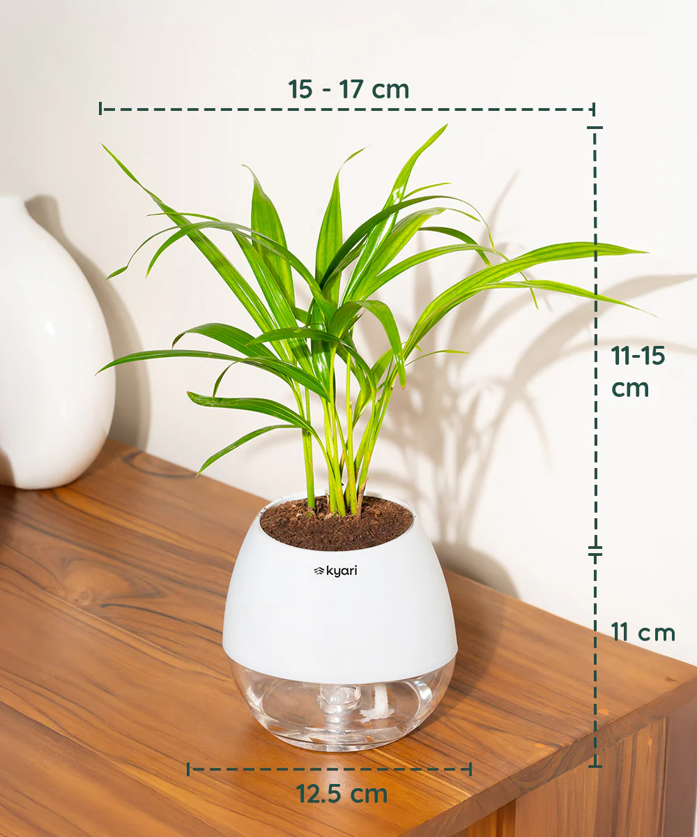 Product image 112