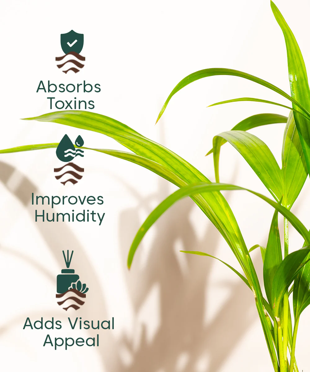 Product image 113