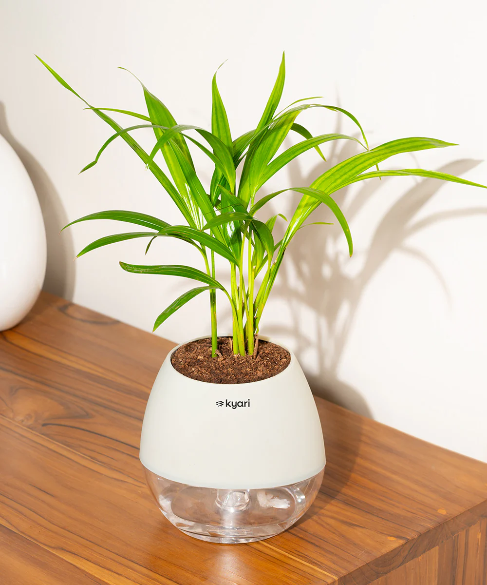 Product image 125