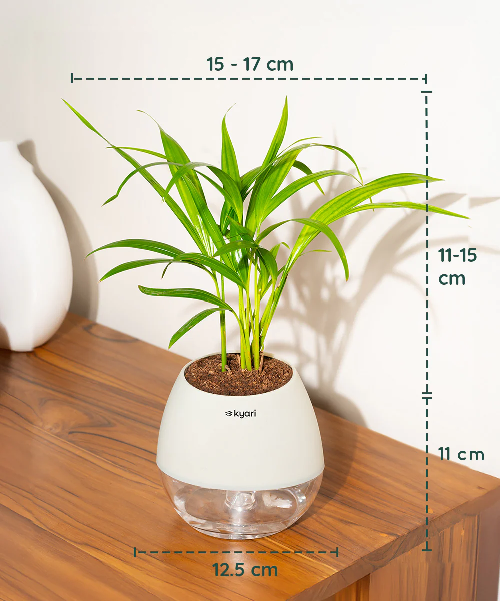 Product image 128
