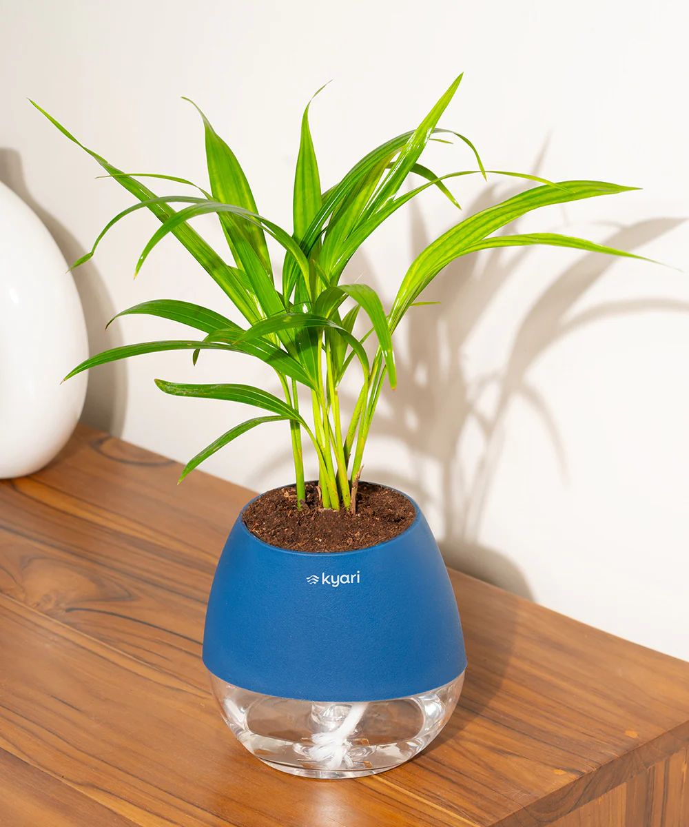 Product image 141