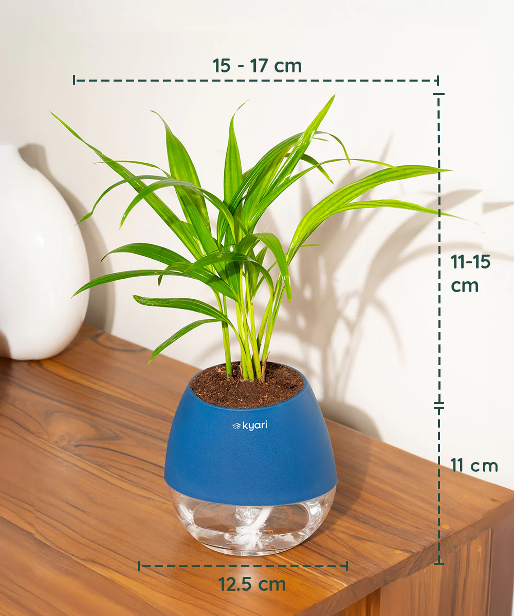 Product image 144