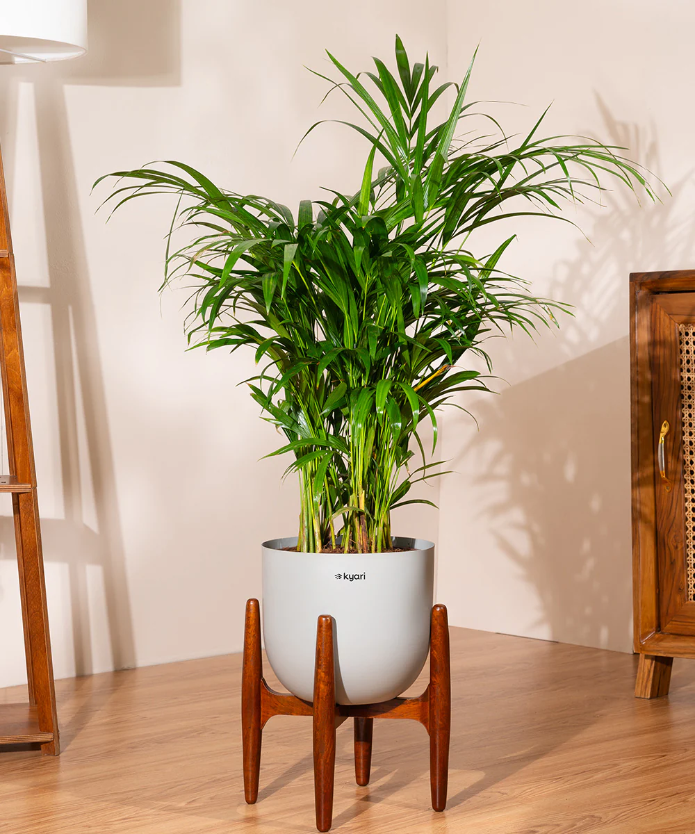 Product image 91
