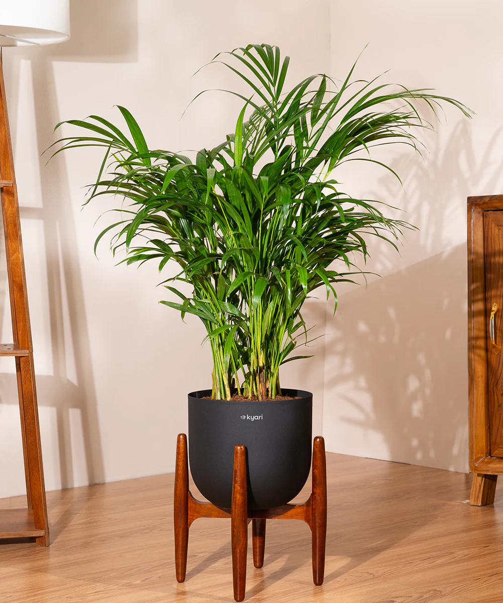 Product image 97