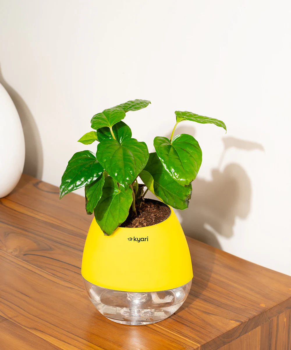 Product image 105