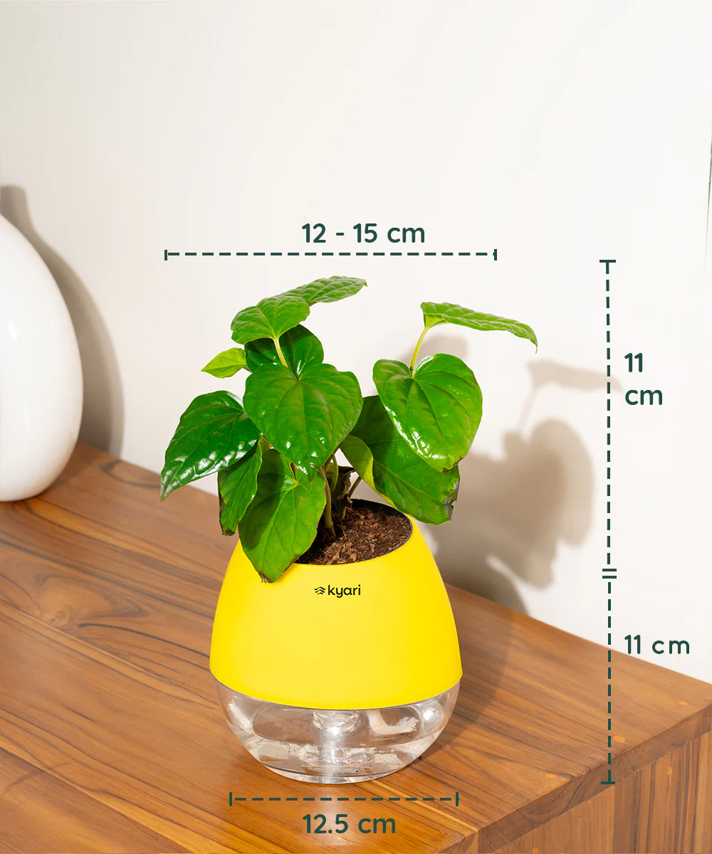 Product image 108