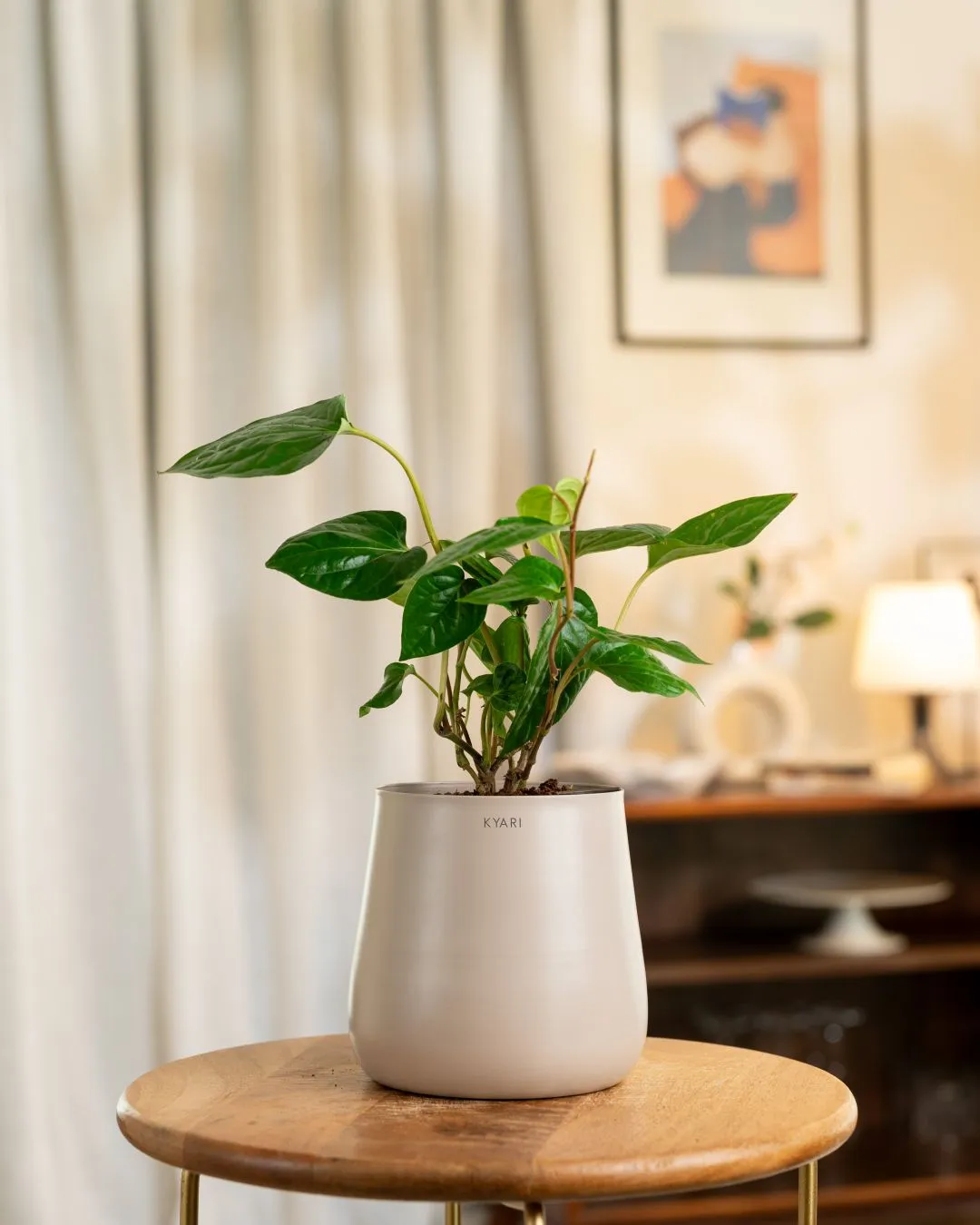 Product image 67