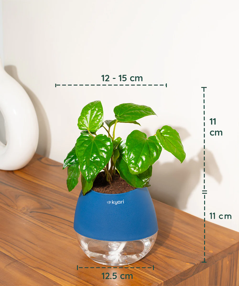 Product image 92