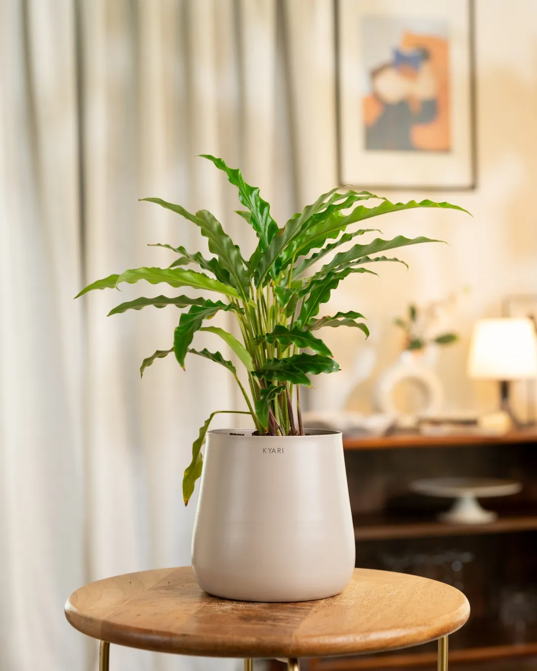 Product image 67