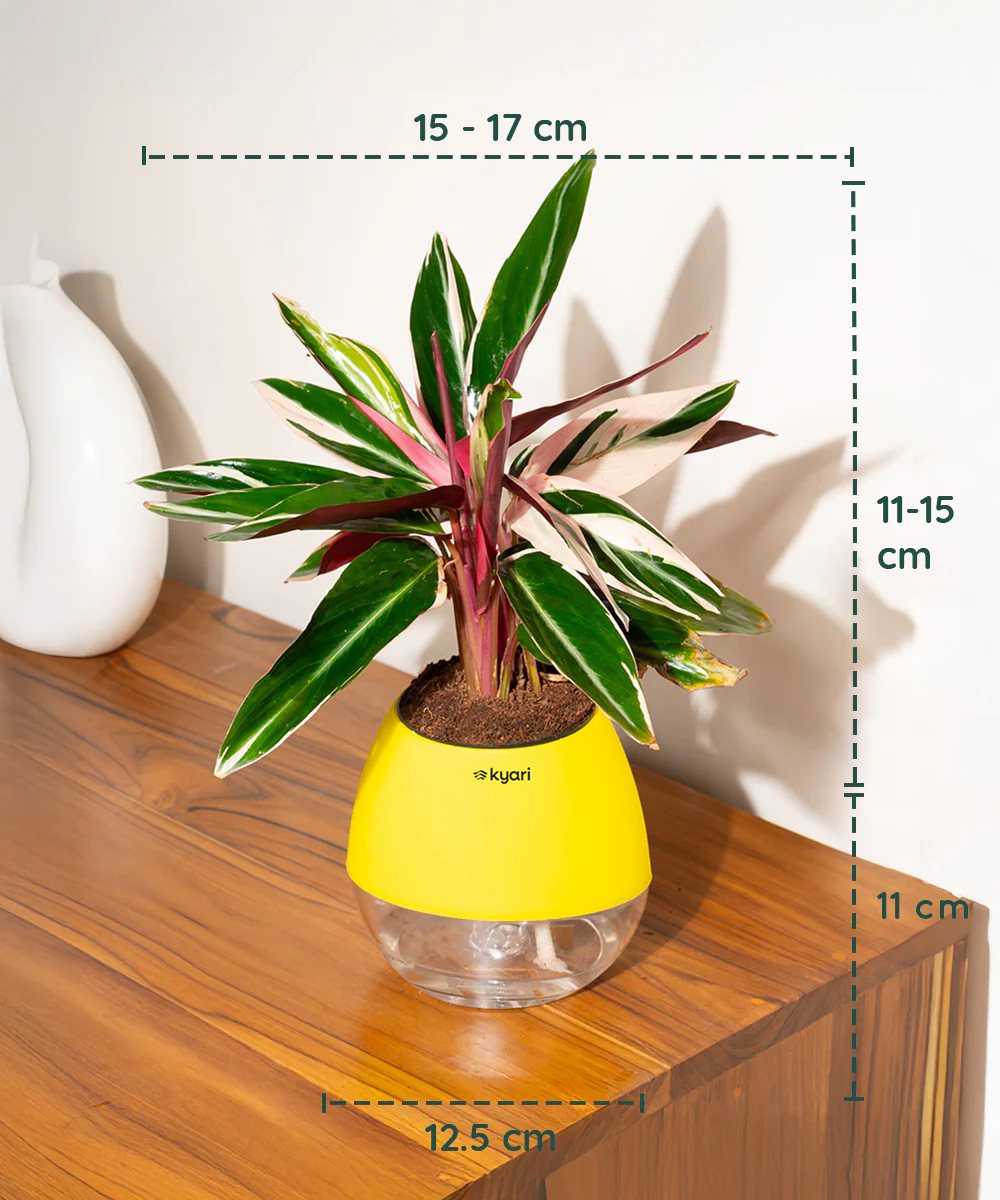 Product image 102