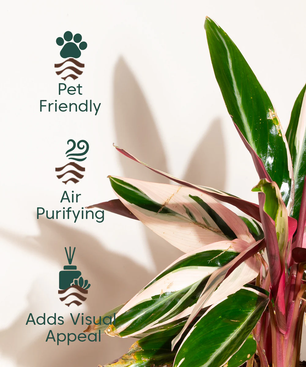Product image 111