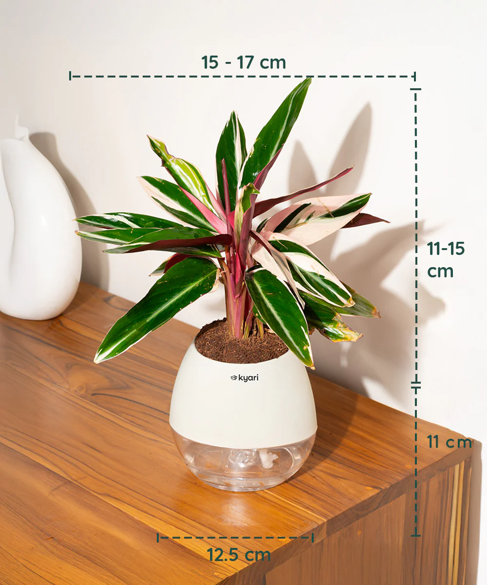 Product image 134