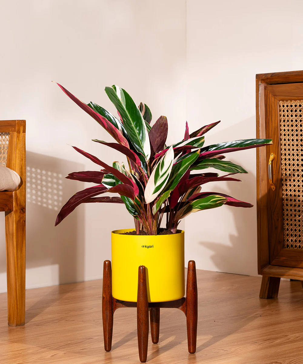 Product image 87