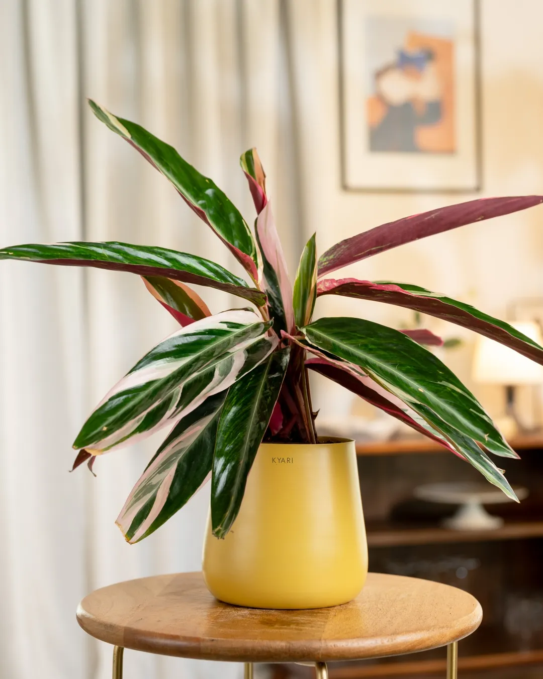 Product image 57