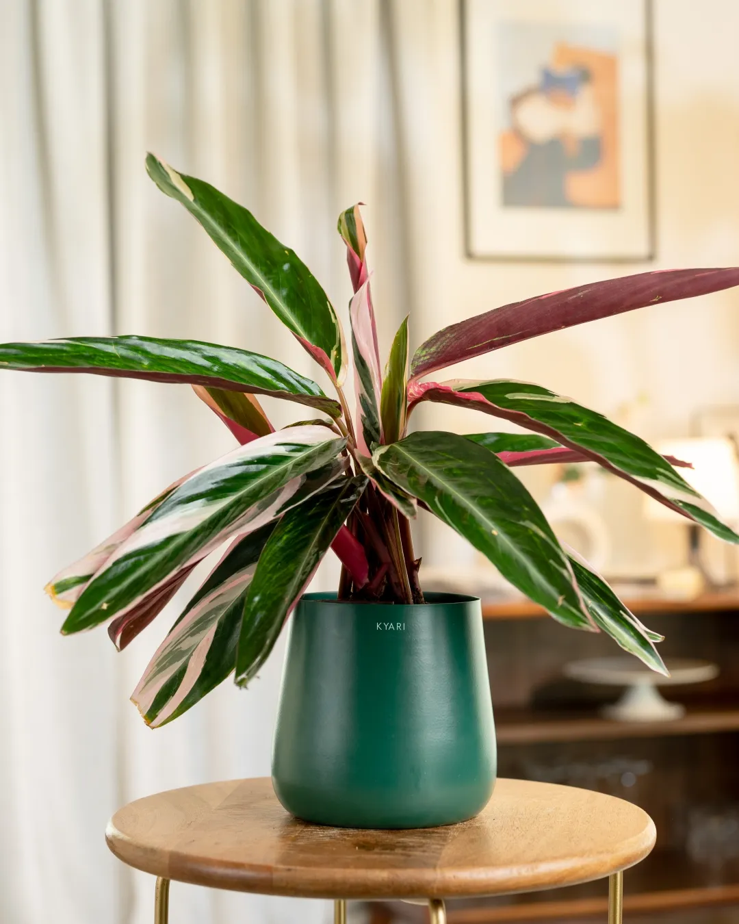 Product image 63