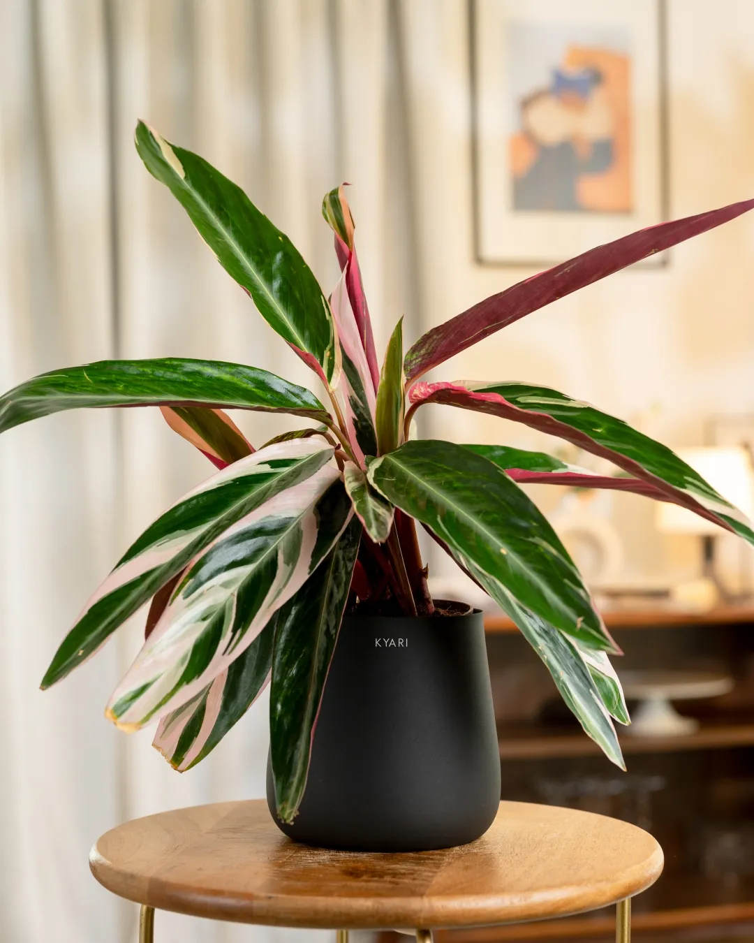 Product image 75
