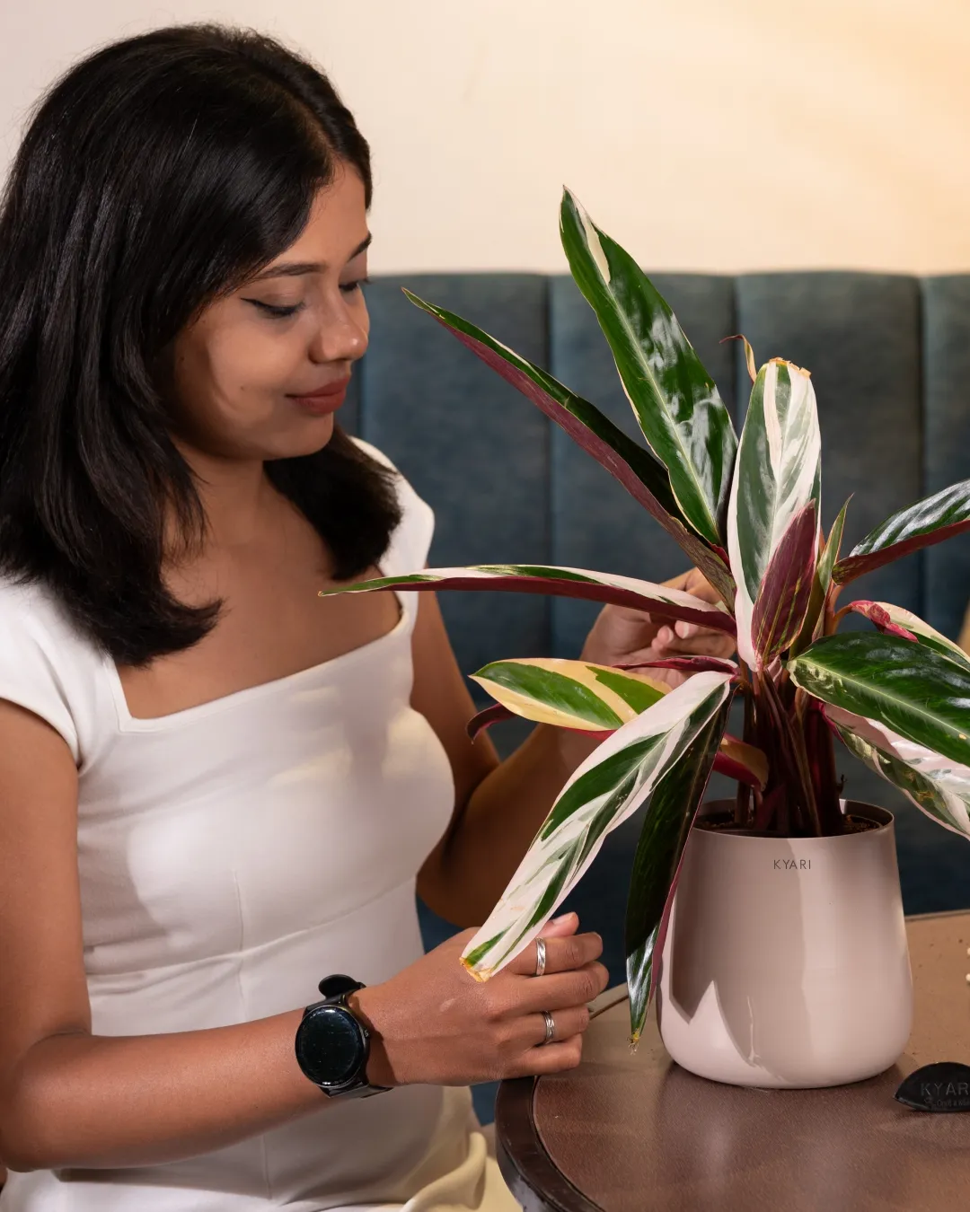 Product image 22