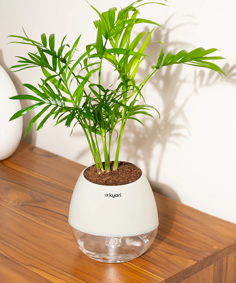Product image 102