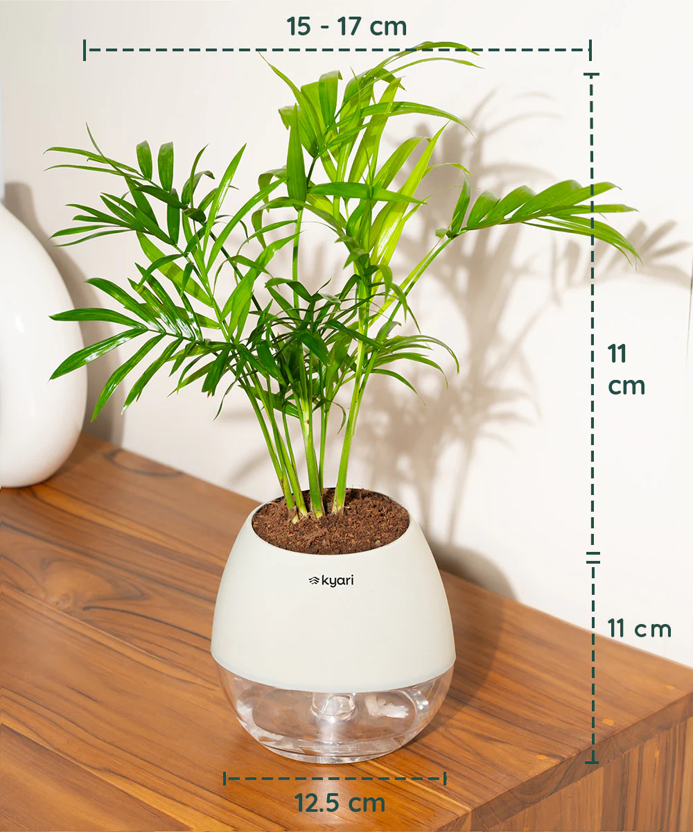 Product image 103