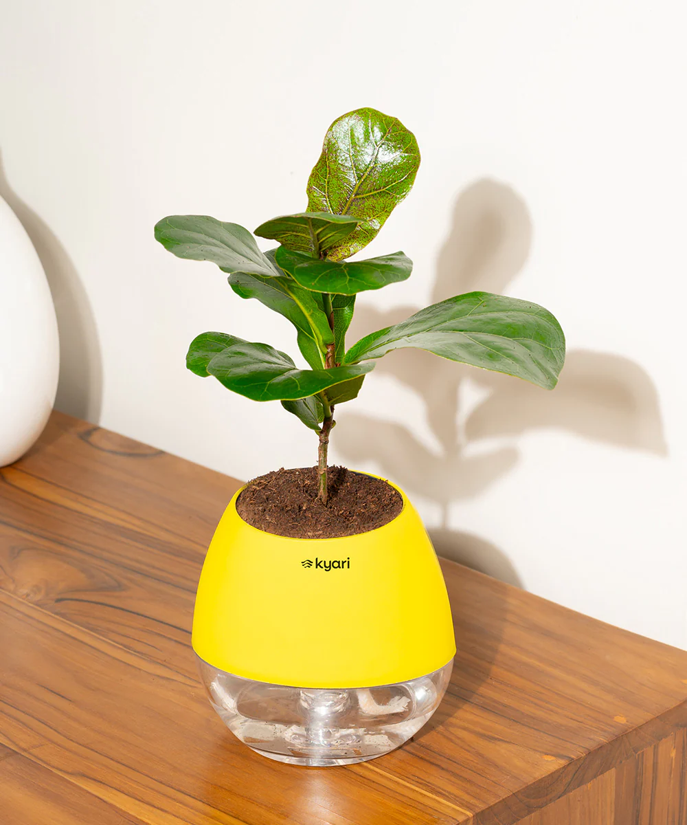 Product image 110