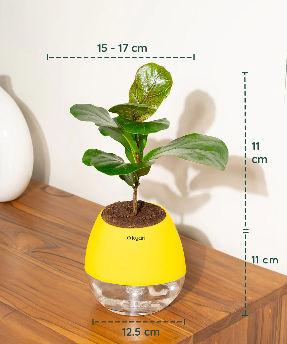 Product image 111