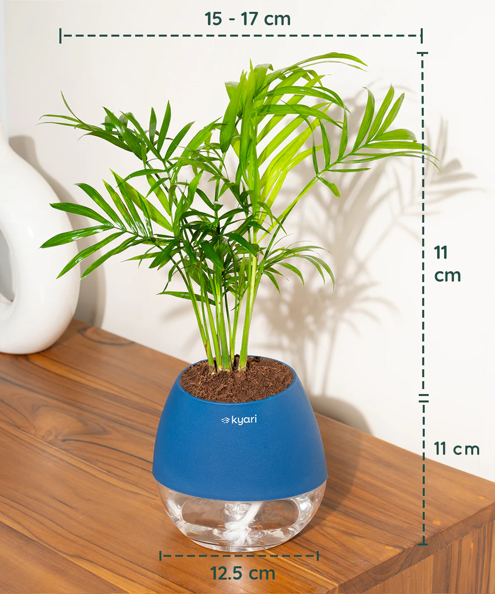 Product image 87