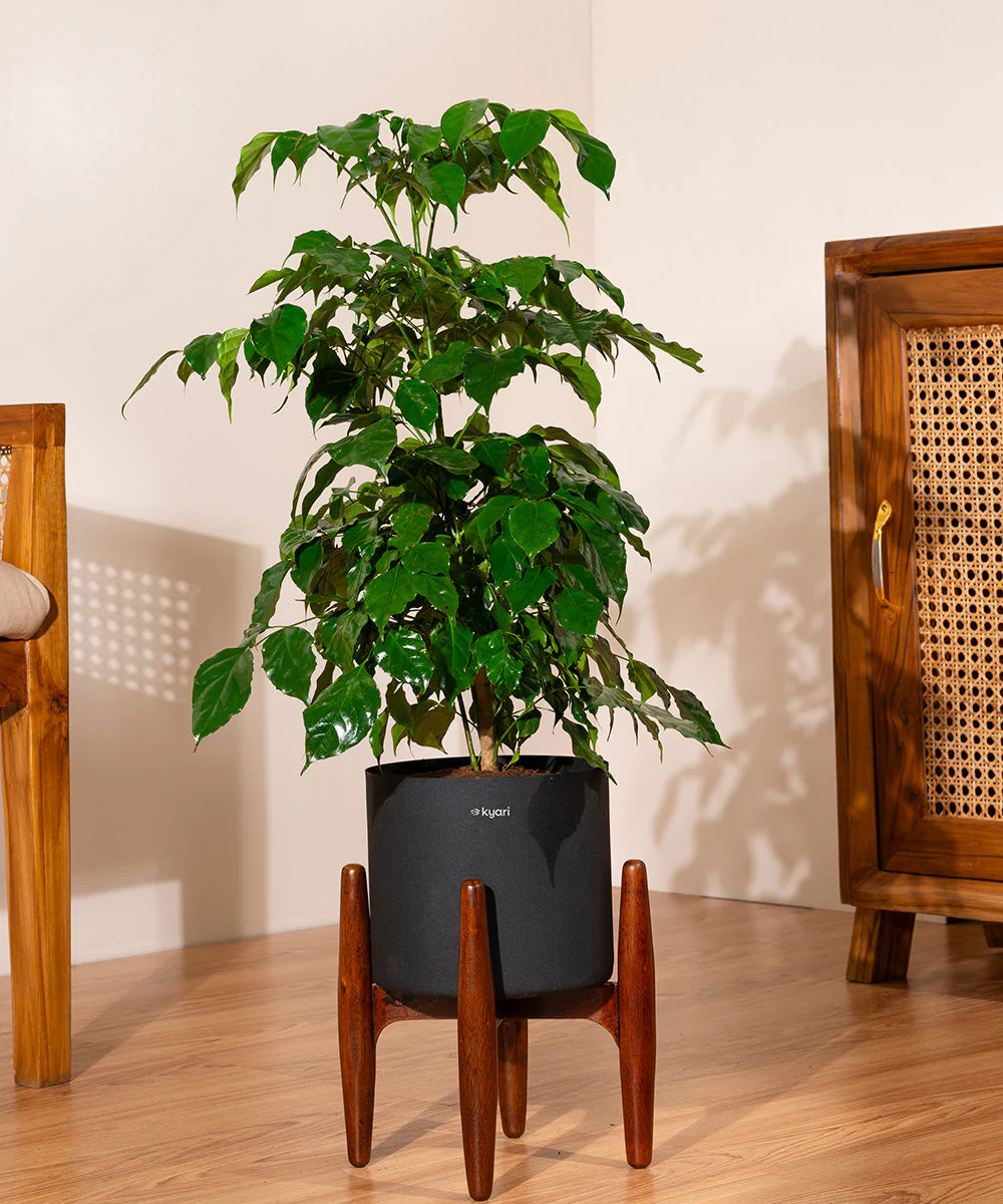 Product image 81