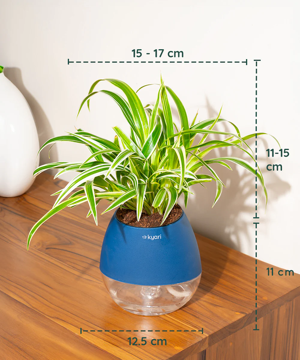 Product image 65