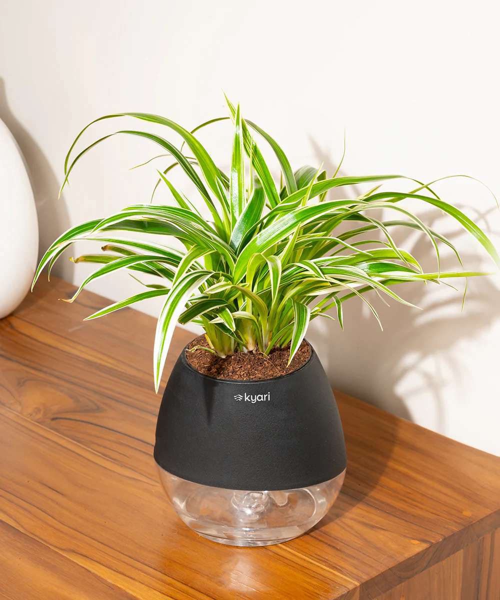 Product image 86