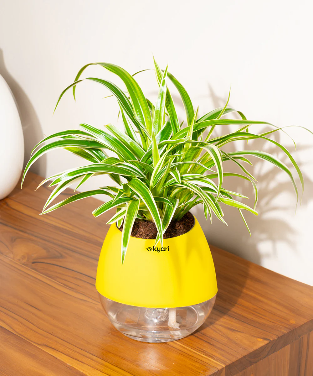 Product image 94